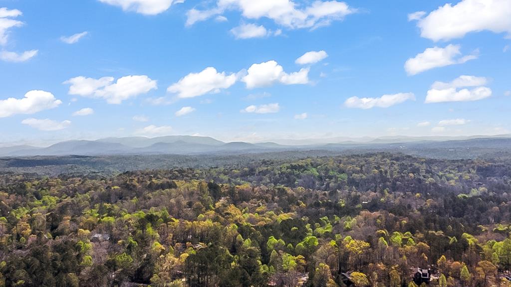 125 Fightingtown Overlook Blue Ridge, GA 30513 - Photo 72 of 80 Gallery Image 72
