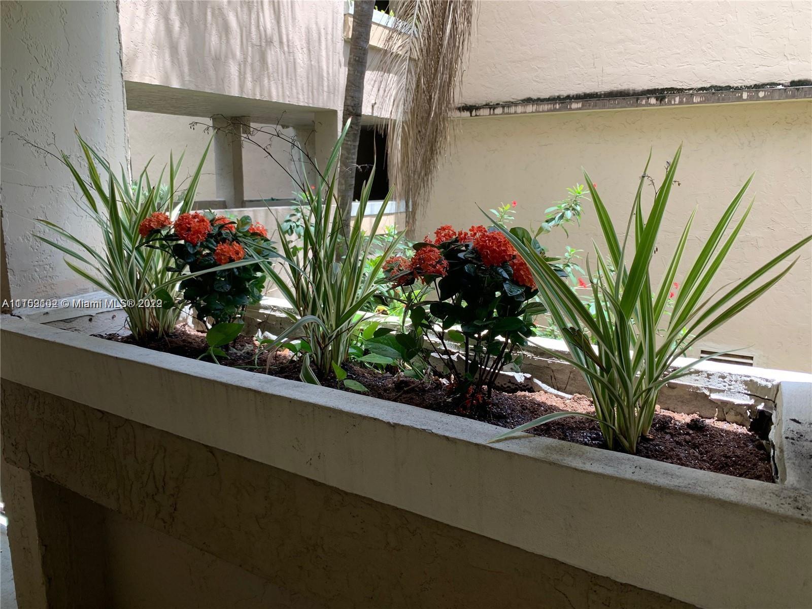 6800 Cypress Road, Unit 208 Plantation, FL 33317 - Photo 12 of 13 a vase of flowers sitting on a table with window