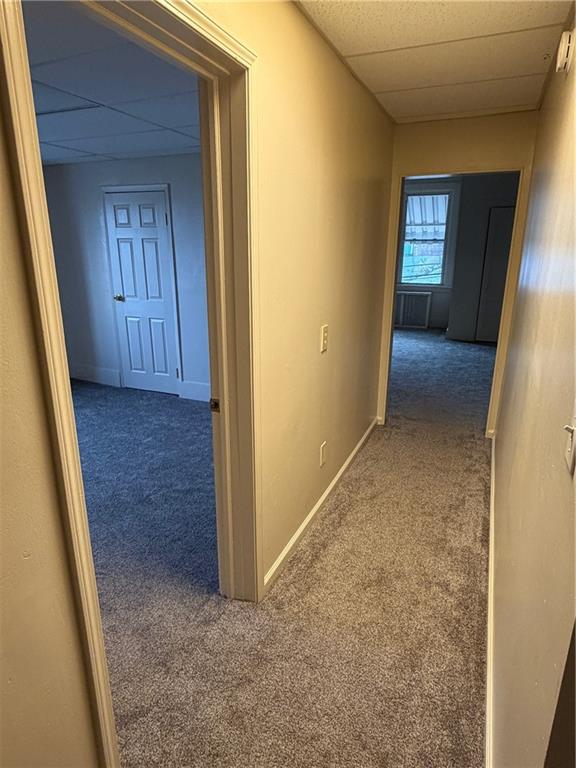 1706 Rhine Street Pittsburgh, PA 15212 - Photo 16 of 19 wooden floor in an empty room