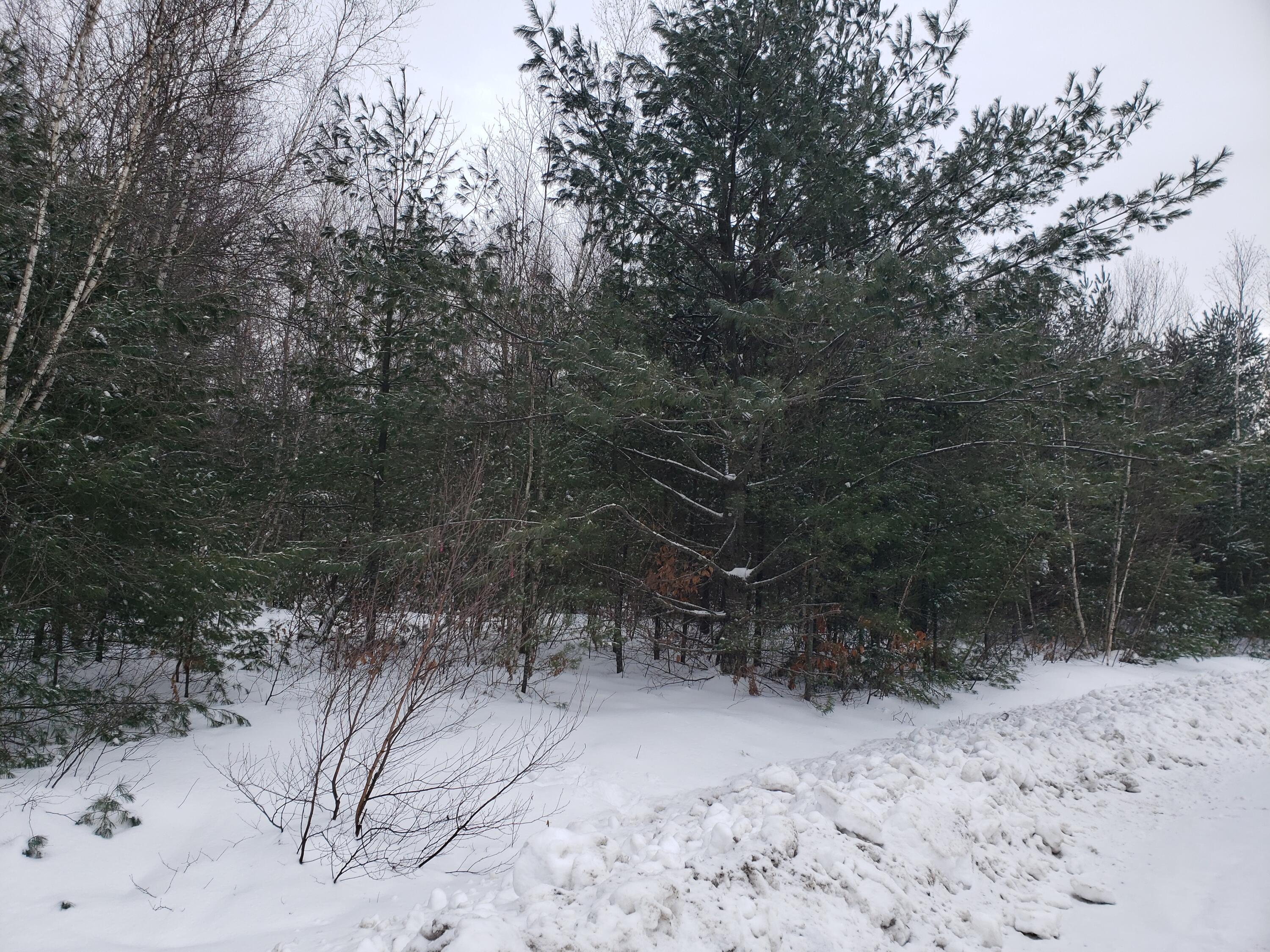 0 Cascade Leisure Park Road Farmington, ME 04938 - Photo 1 of 7 20220119_114900