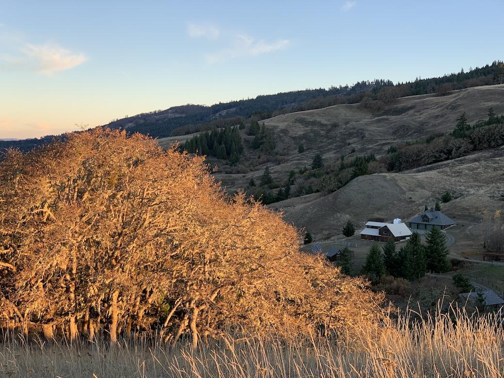 23333 Maple Creek Road Korbel, CA 95550 - Photo 15 of 53