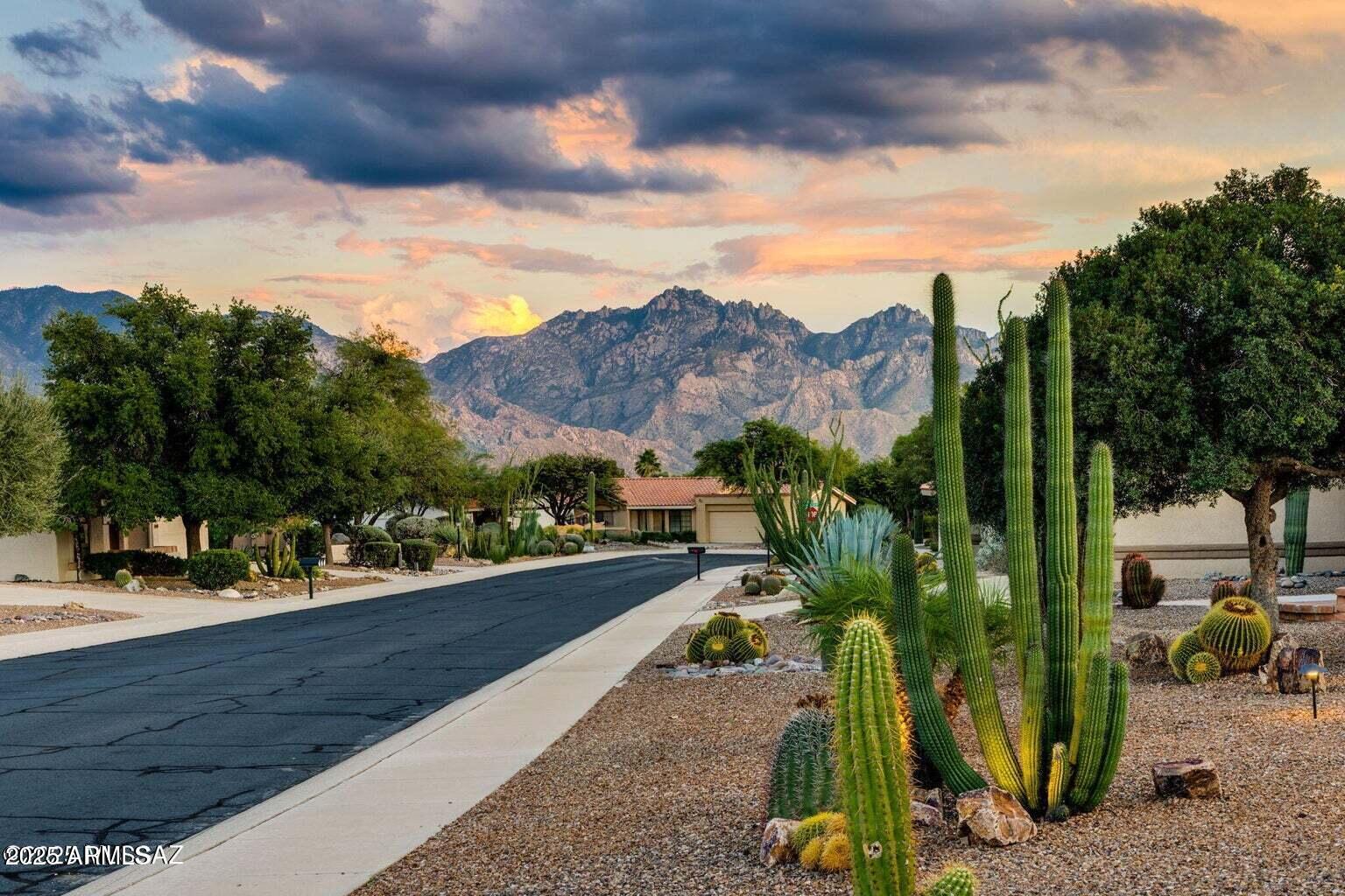 14705 North Palm Ridge Drive Oro Valley, AZ 85755 - Photo 2 of 49 a view of outdoor space and yard