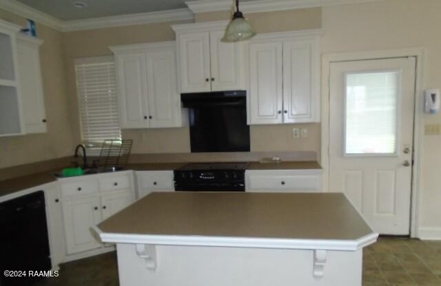 309 Springfield Street New Iberia, LA 70563 - Photo 4 of 11 DSC04284