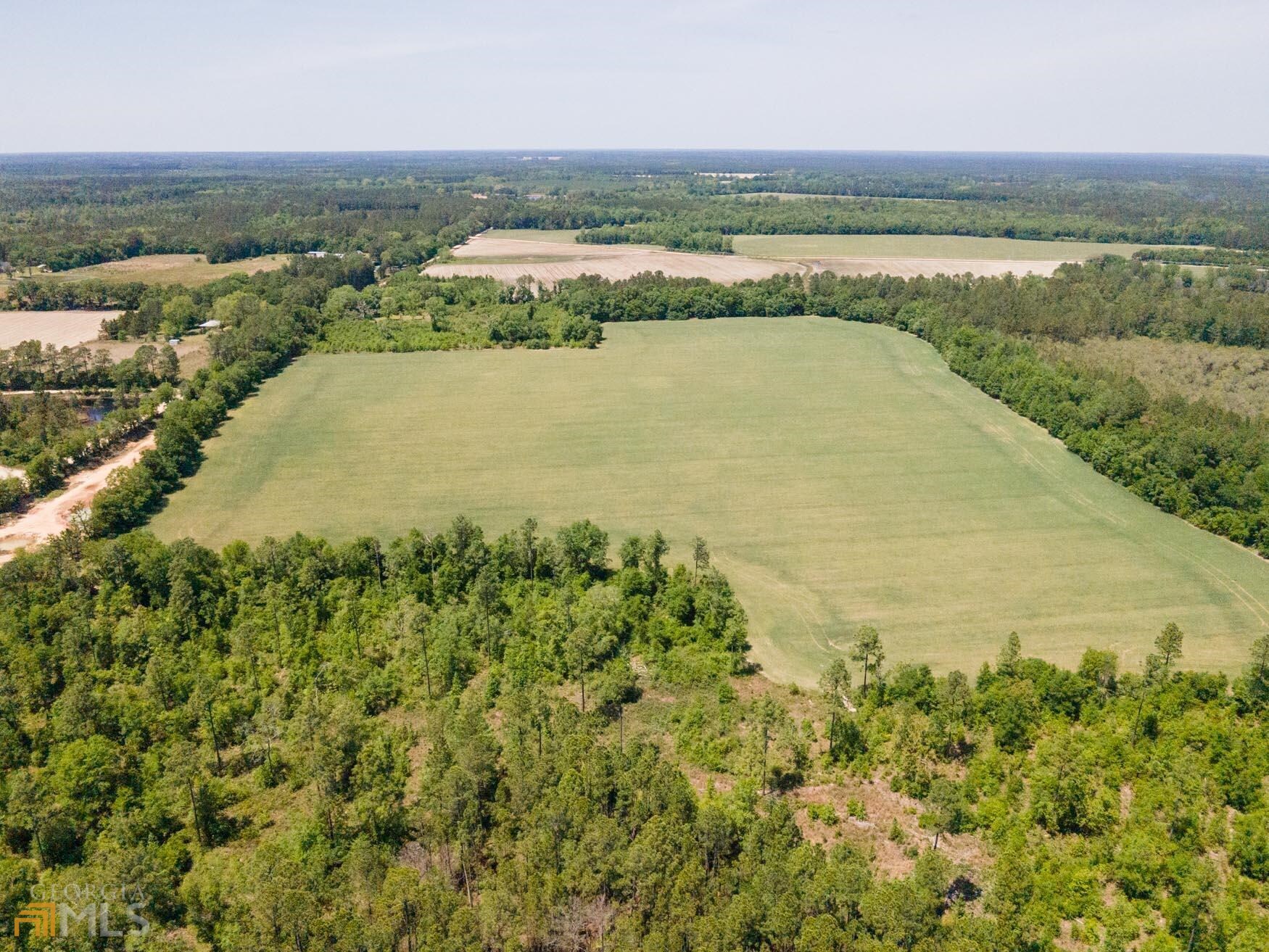 0 Old River Road South, Unit LOT 7 Brooklet, GA 30415 - Photo 4 of 4