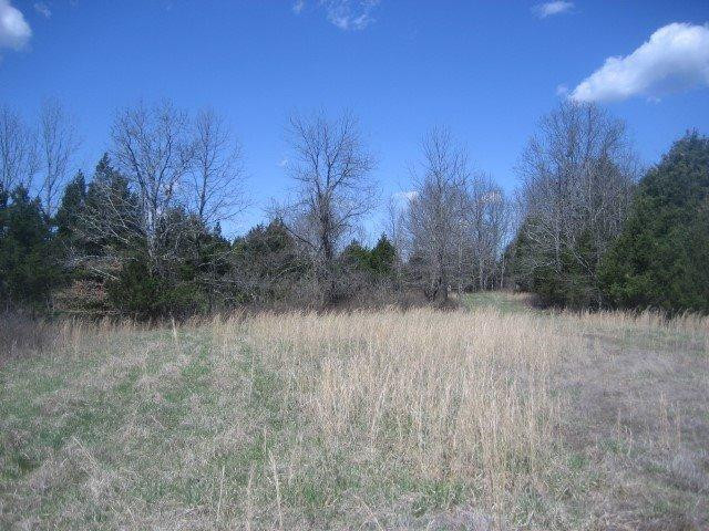1234 North Rays Fork Road Sadieville, KY 40370 - Photo 13 of 16 Photo 13