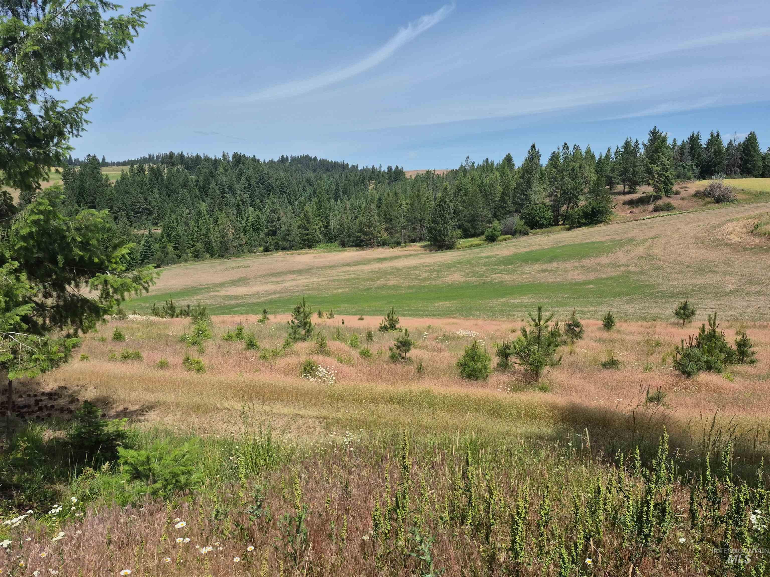 1044 Clemenhagen Road Kendrick, ID 83537 - Photo 31 of 49