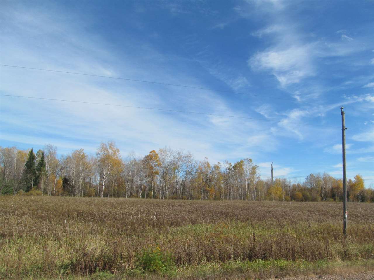 25-acres On County Rd Y Aniwa, WI 54408 - Photo 1 of 1