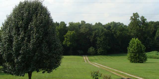 1174 Port Royal Road Adams, TN 37010 - Photo 2 of 16 View from the front porch