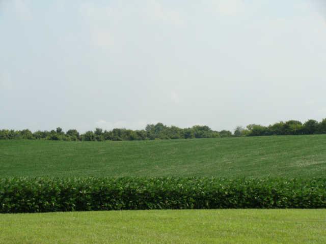 1174 Port Royal Road Adams, TN 37010 - Photo 5 of 16 No neighbors in the back!