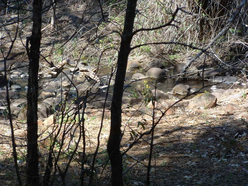 30100 1 Hundred Road Shingletown, CA 96088 - Photo 18 of 20 Wooded Acreage