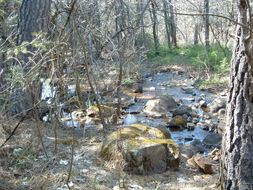30100 1 Hundred Road Shingletown, CA 96088 - Photo 20 of 20 Rippling Creek