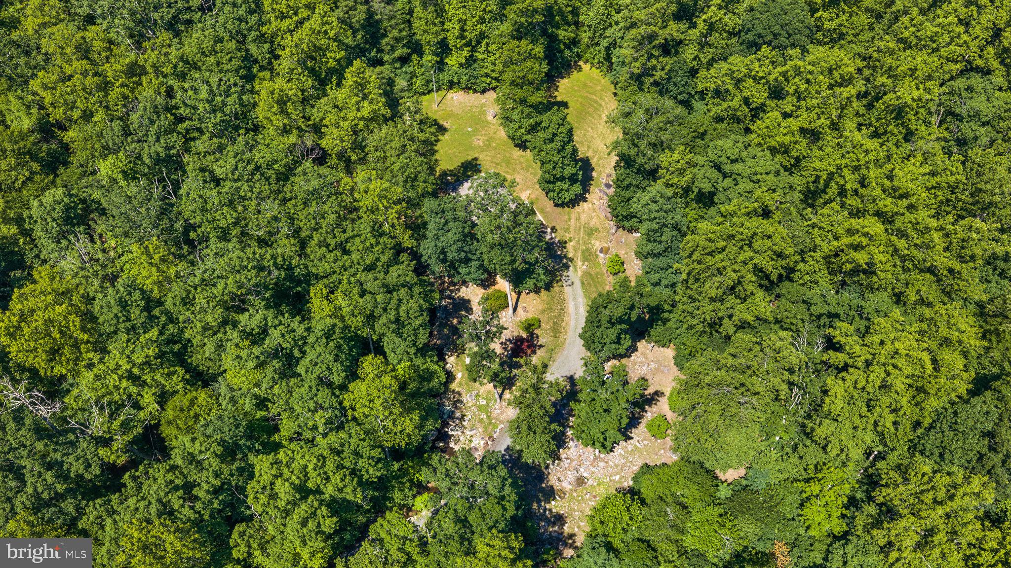 1319 Champe Plain Road Etlan, VA 22719 - Photo 62 of 63