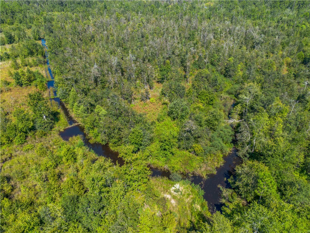 0 Old Surrency Road Baxley, GA 31513 - Photo 12 of 18