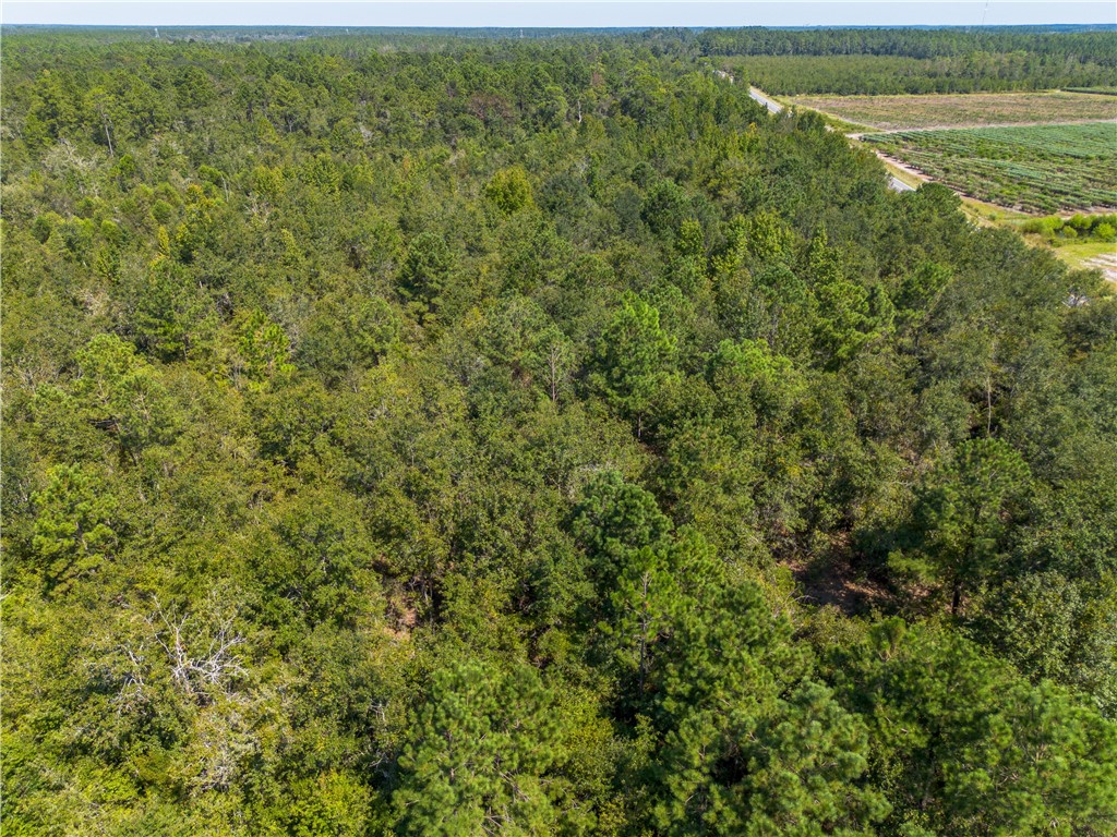 0 Old Surrency Road Baxley, GA 31513 - Photo 13 of 18