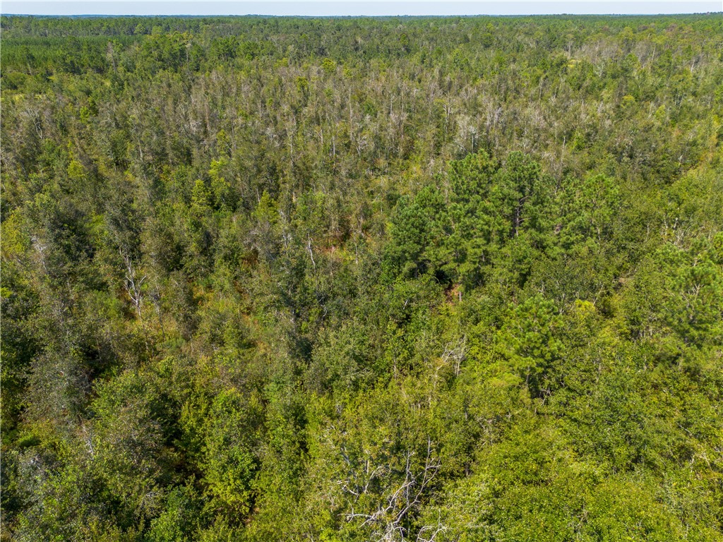 0 Old Surrency Road Baxley, GA 31513 - Photo 14 of 18