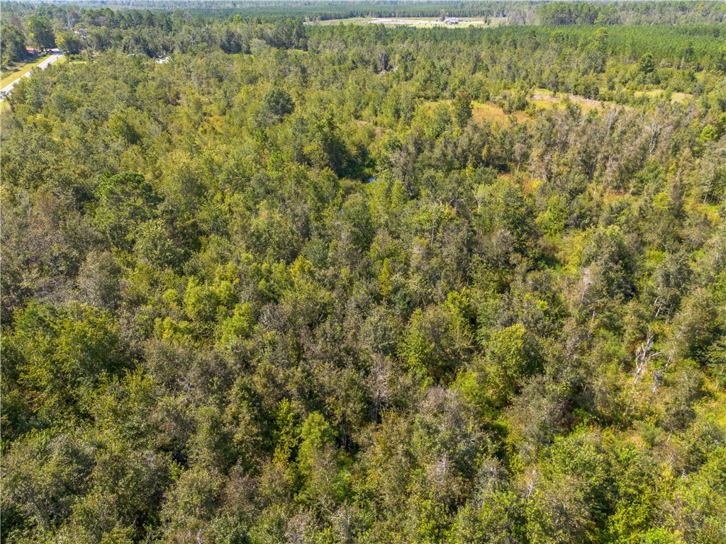 0 Old Surrency Road Baxley, GA 31513 - Photo 15 of 18