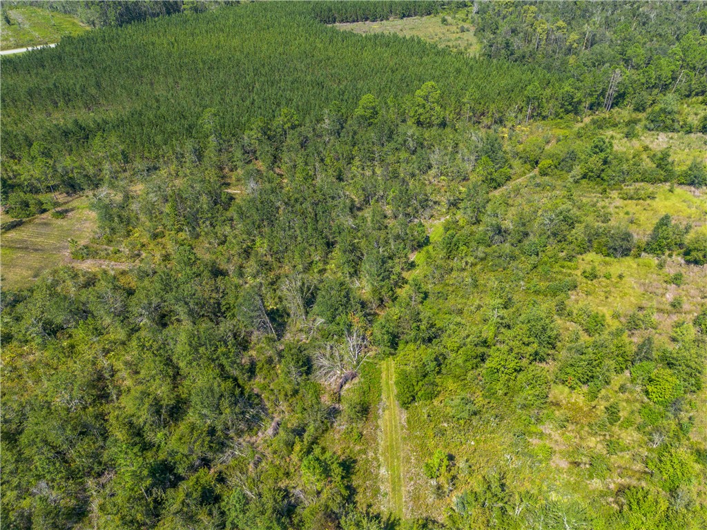 0 Old Surrency Road Baxley, GA 31513 - Photo 16 of 18