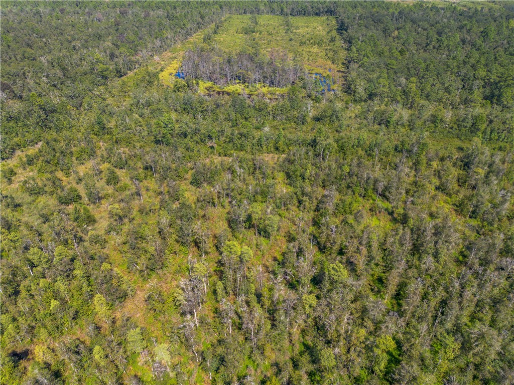 0 Old Surrency Road Baxley, GA 31513 - Photo 18 of 18