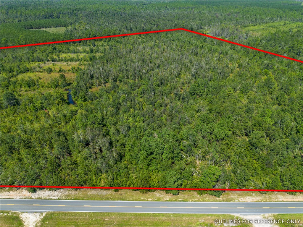 0 Old Surrency Road Baxley, GA 31513 - Photo 5 of 18