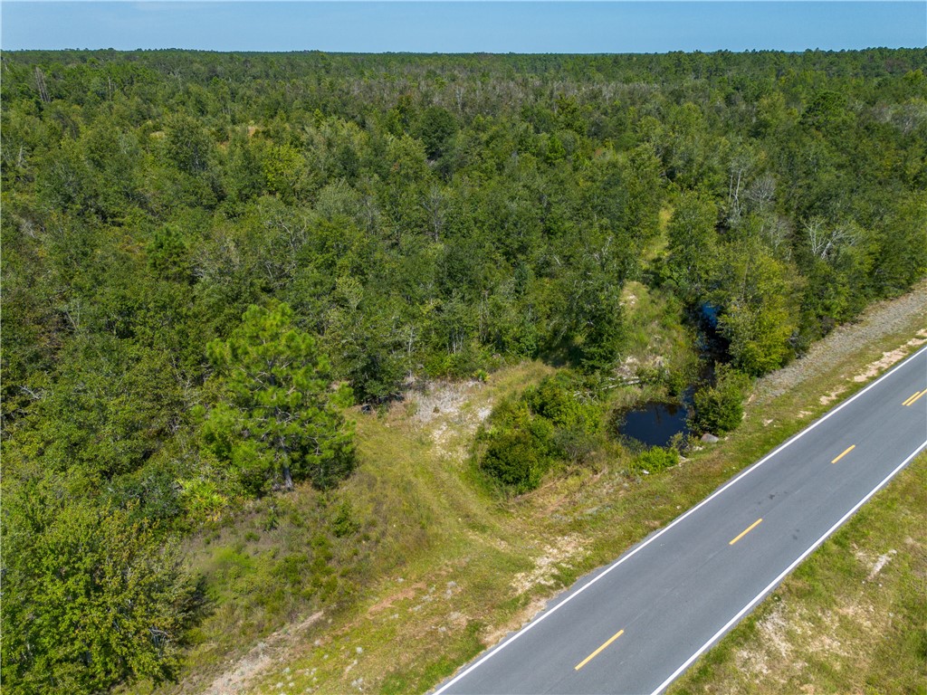 0 Old Surrency Road Baxley, GA 31513 - Photo 8 of 18