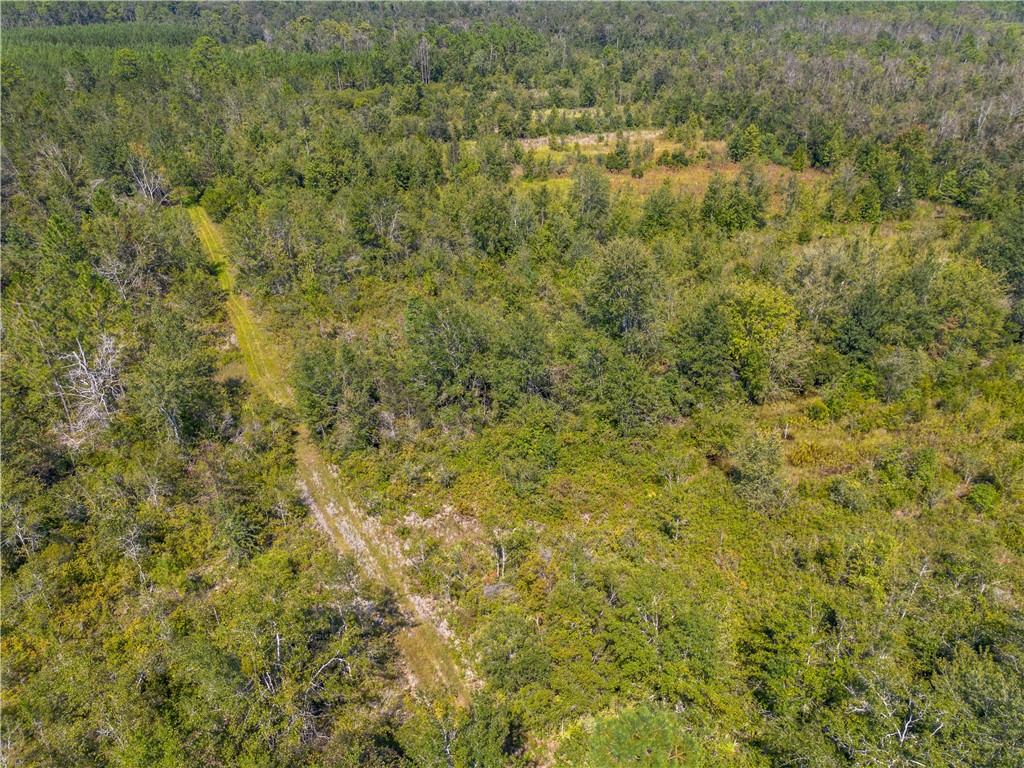 0 Old Surrency Road Baxley, GA 31513 - Photo 9 of 18