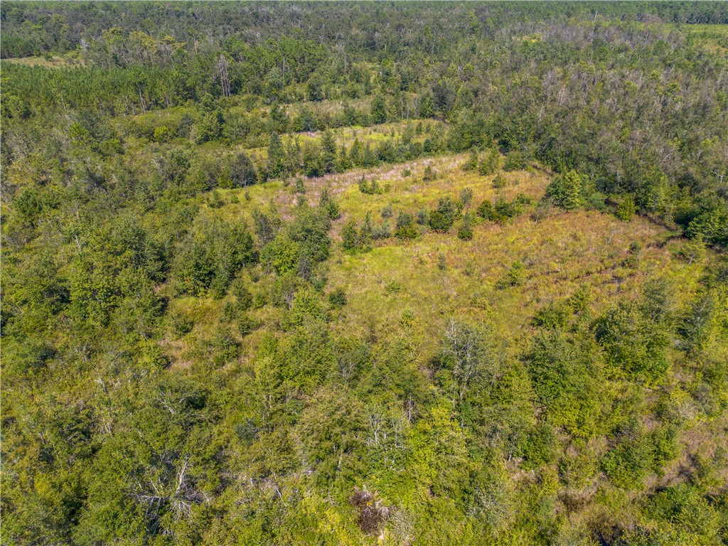 0 Old Surrency Road Baxley, GA 31513 - Photo 10 of 18