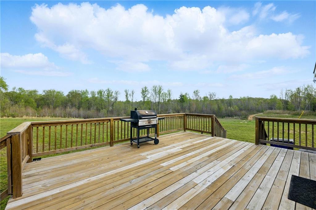 262 Garrison Road Carnesville, GA 30521 - Photo 34 of 59