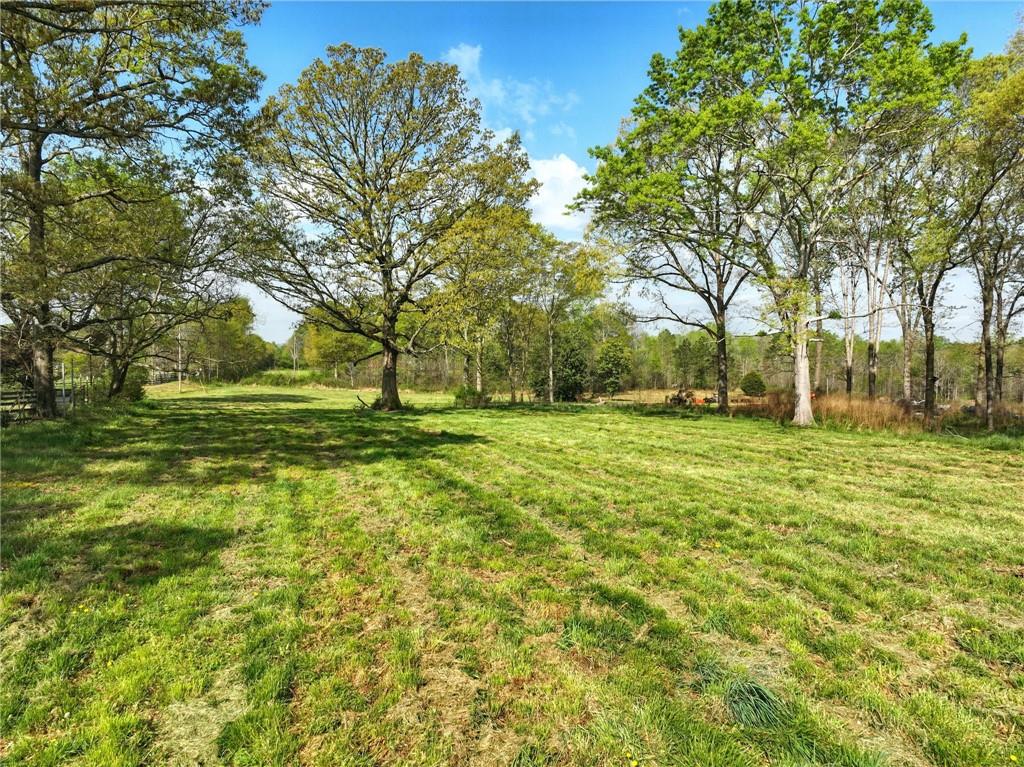 262 Garrison Road Carnesville, GA 30521 - Photo 45 of 59 a view of a grassy field with trees