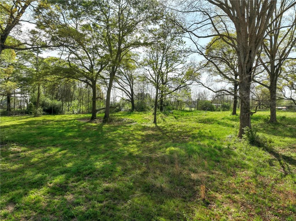 262 Garrison Road Carnesville, GA 30521 - Photo 54 of 59 a view of a grassy field with trees