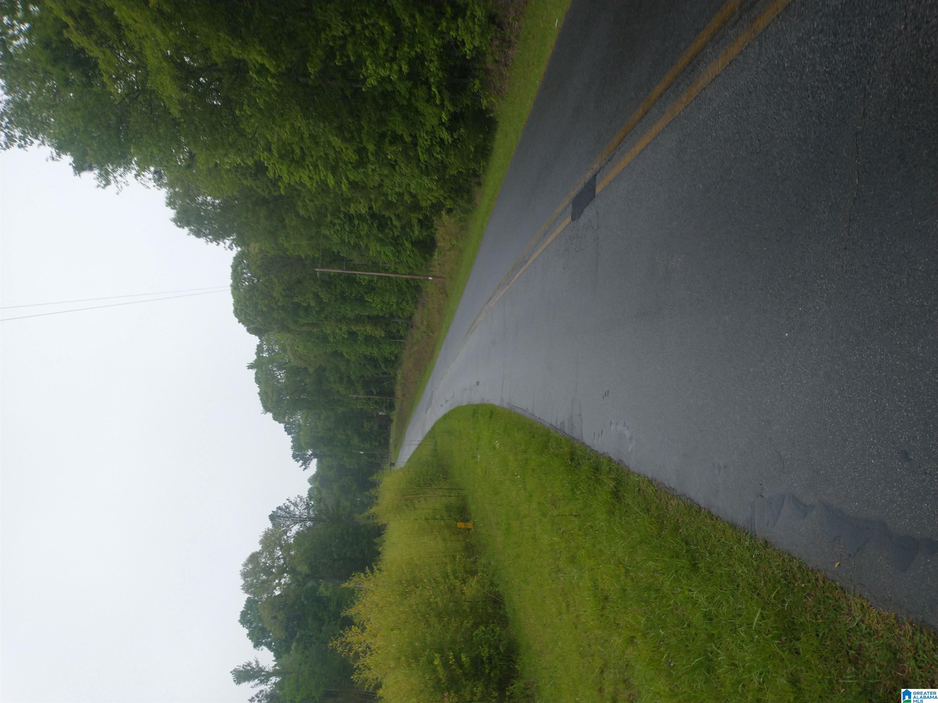 0 Gardner Road, Unit RAW LAND Dadeville, AL 36853 - Photo 2 of 4