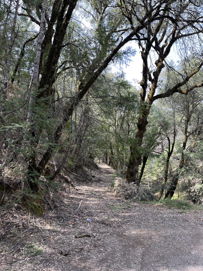 0 Maplewood Lane Colfax, CA 95713 - Photo 2 of 6