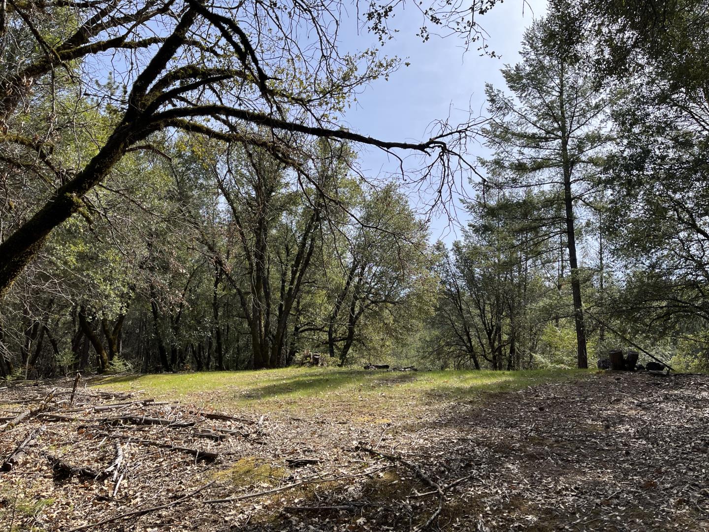 0 Maplewood Lane Colfax, CA 95713 - Photo 4 of 6