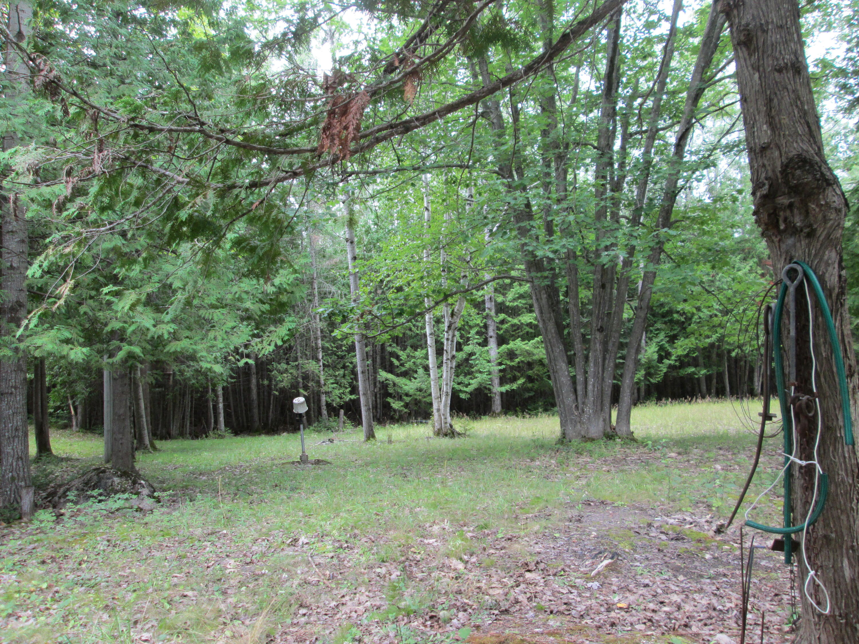 7351 East Hamilton Road Alpena, MI 49707 - Photo 35 of 45 Gallery Image 35