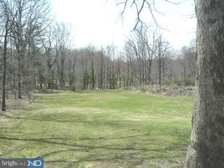 223 Spies Church Road Reading, PA 19606 - Photo 4 of 6