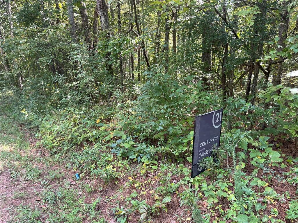 0 Wallace Tatum Road Cumming, GA 30028 - Photo 4 of 10