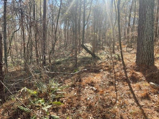 0 Wallace Tatum Road Cumming, GA 30028 - Photo 7 of 10