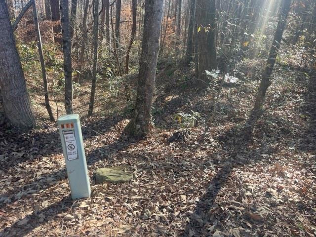 0 Wallace Tatum Road Cumming, GA 30028 - Photo 8 of 10