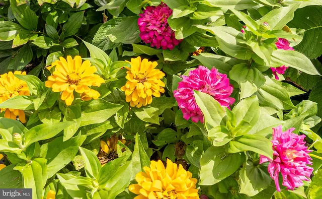 $246,500 | 9540 Wedge Way, Delmar, MD 21875