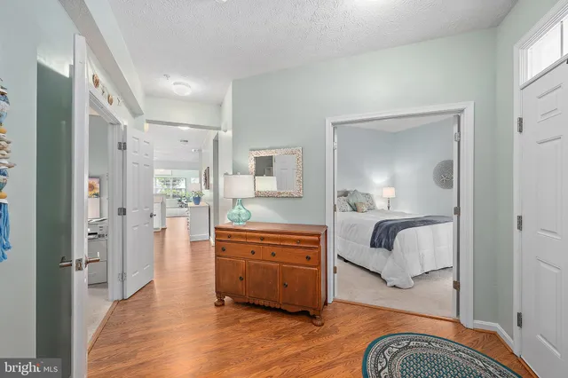 a living room with furniture potted plant and a large window