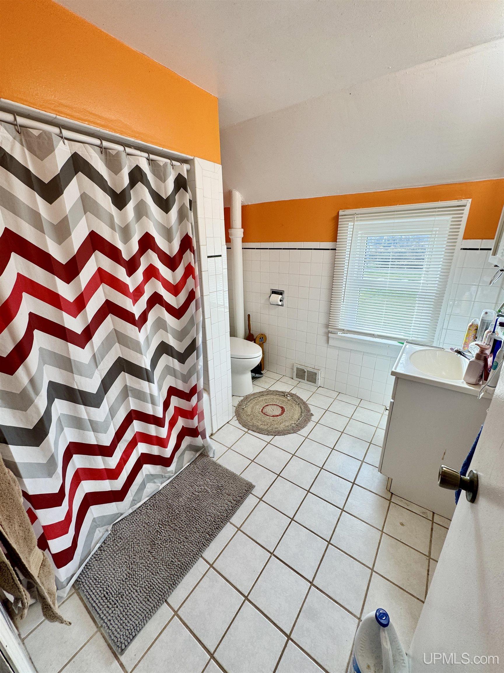 409 Excelsior Street Ishpeming, MI 49849 - Photo 19 of 33 Gallery Image 19