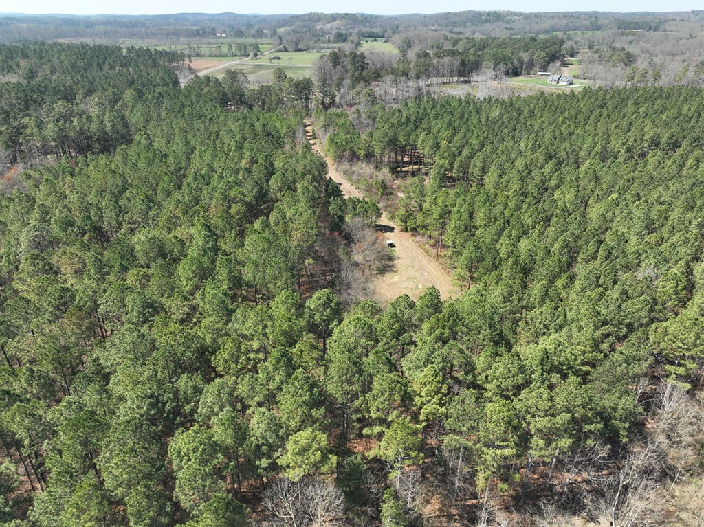 0 Hopewell Road Cohutta, GA 30710 - Photo 8 of 14 Gallery Image 8