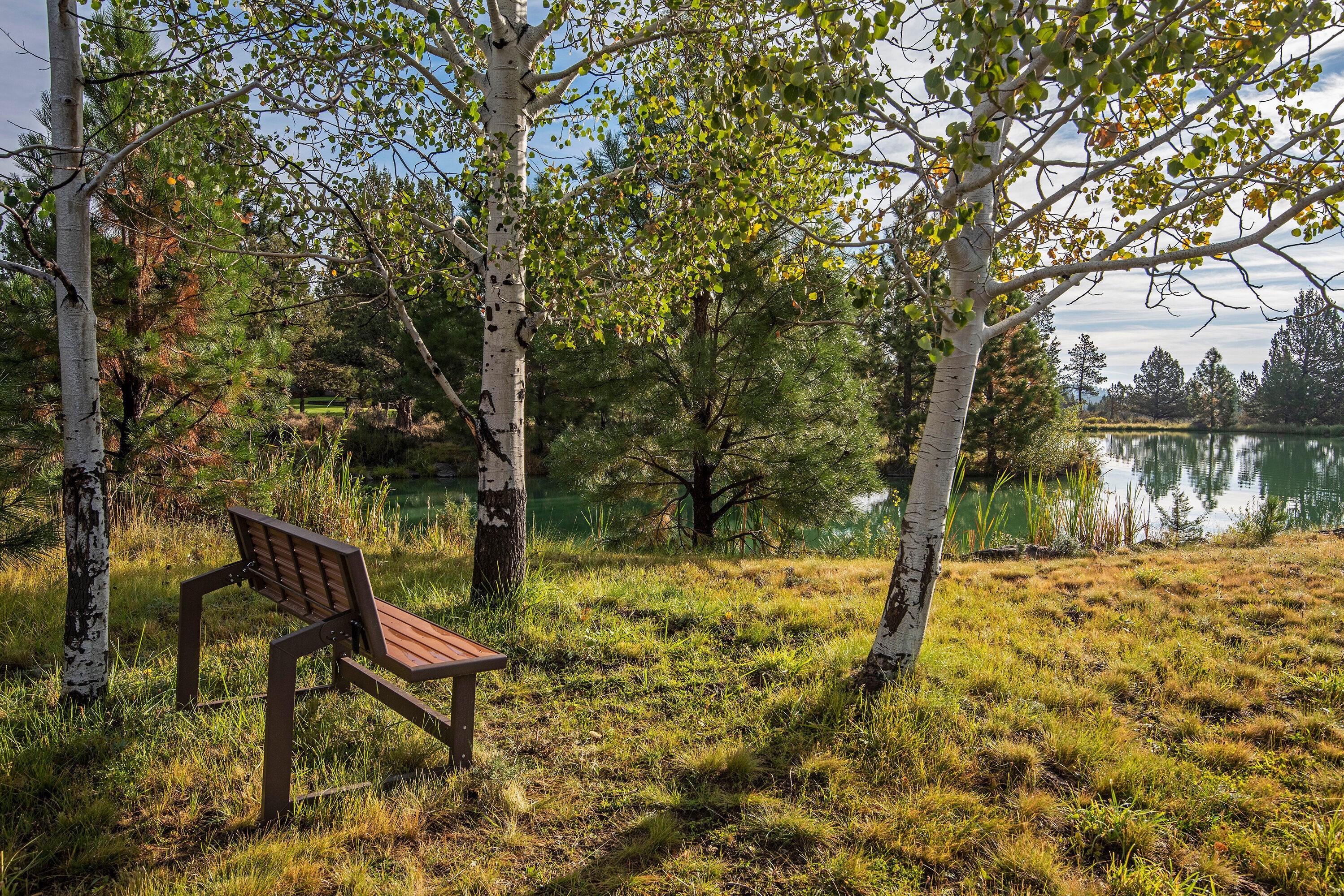 16065 Fox Ridge Circle Sisters, OR 97759 - Photo 14 of 16 Community Pond