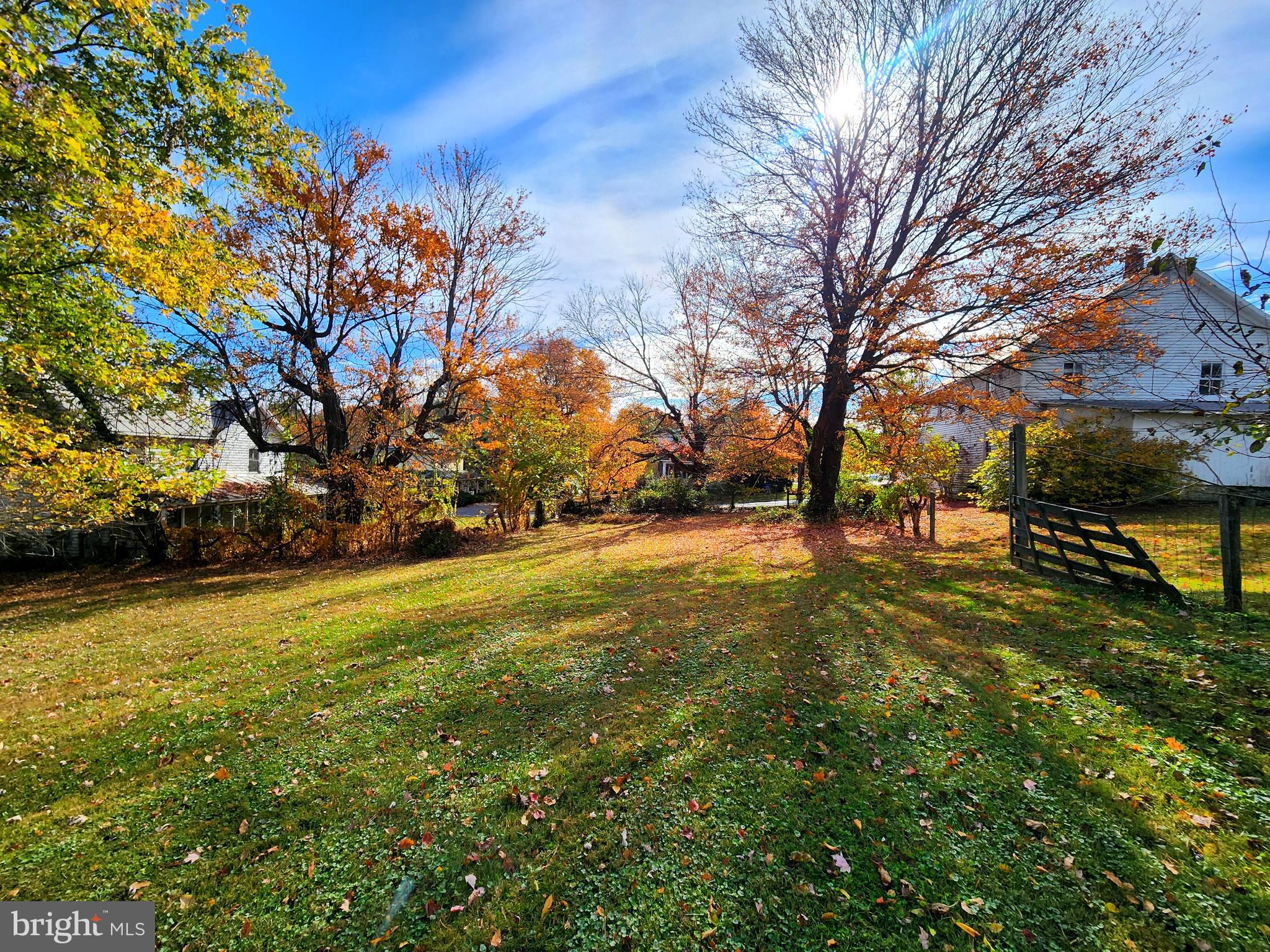26506 Clarksburg Road Clarksburg, MD 20871 - Photo 14 of 39 a view of yard with trees