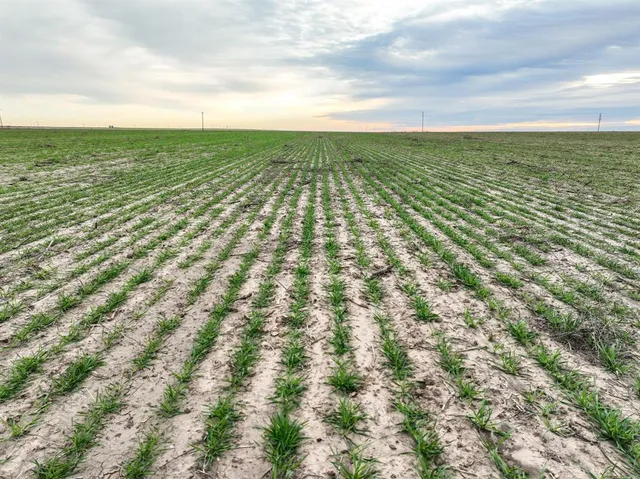 $95,000 | 1 County Road 119, Rochester, TX 79544