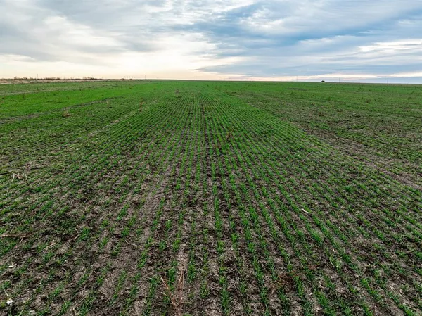 a view of a field with an outdoor space