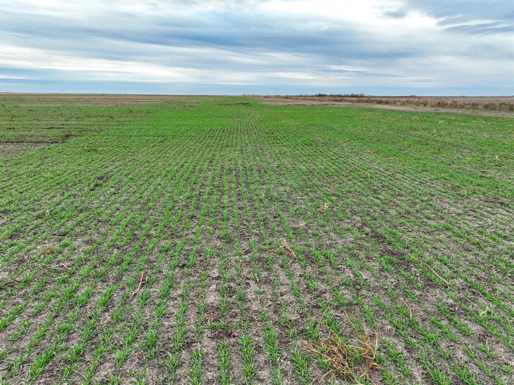 1 County Road 119 Rochester, TX 79544 - Photo 6 of 15 a view of yard with ocean view