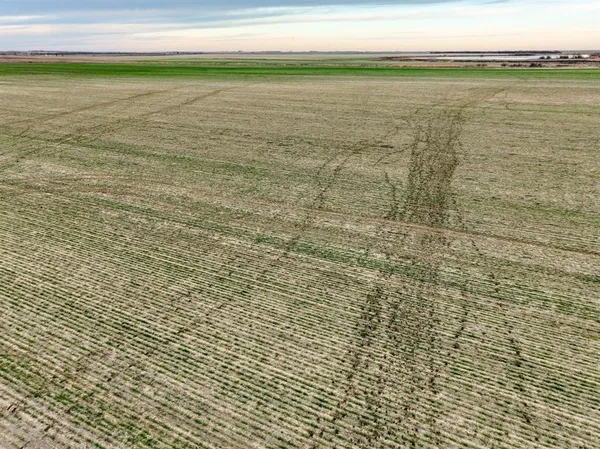 a view of an ocean beach