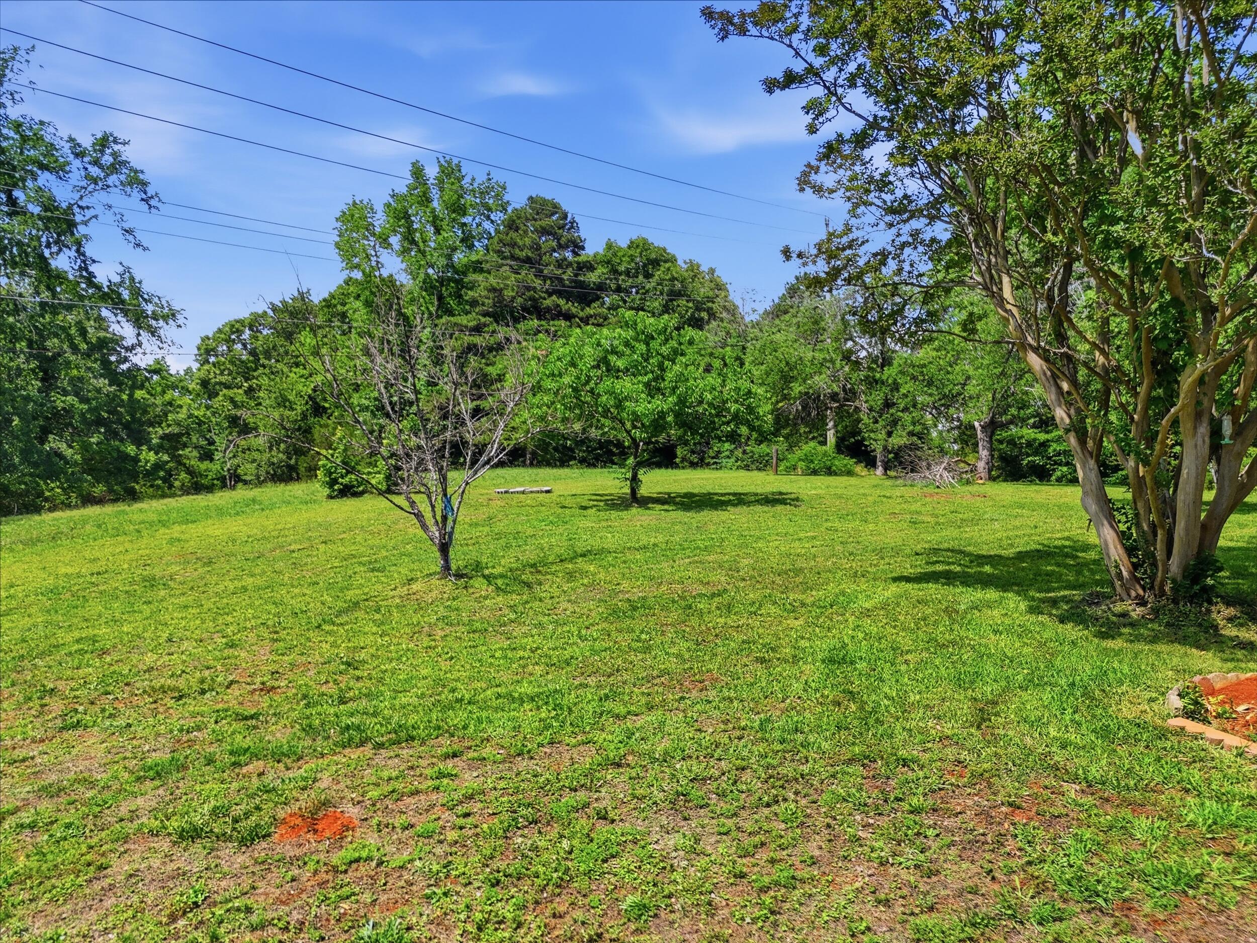 1000 Hill Crest Road Hixson, TN 37343 - Photo 28 of 31 Private Yard