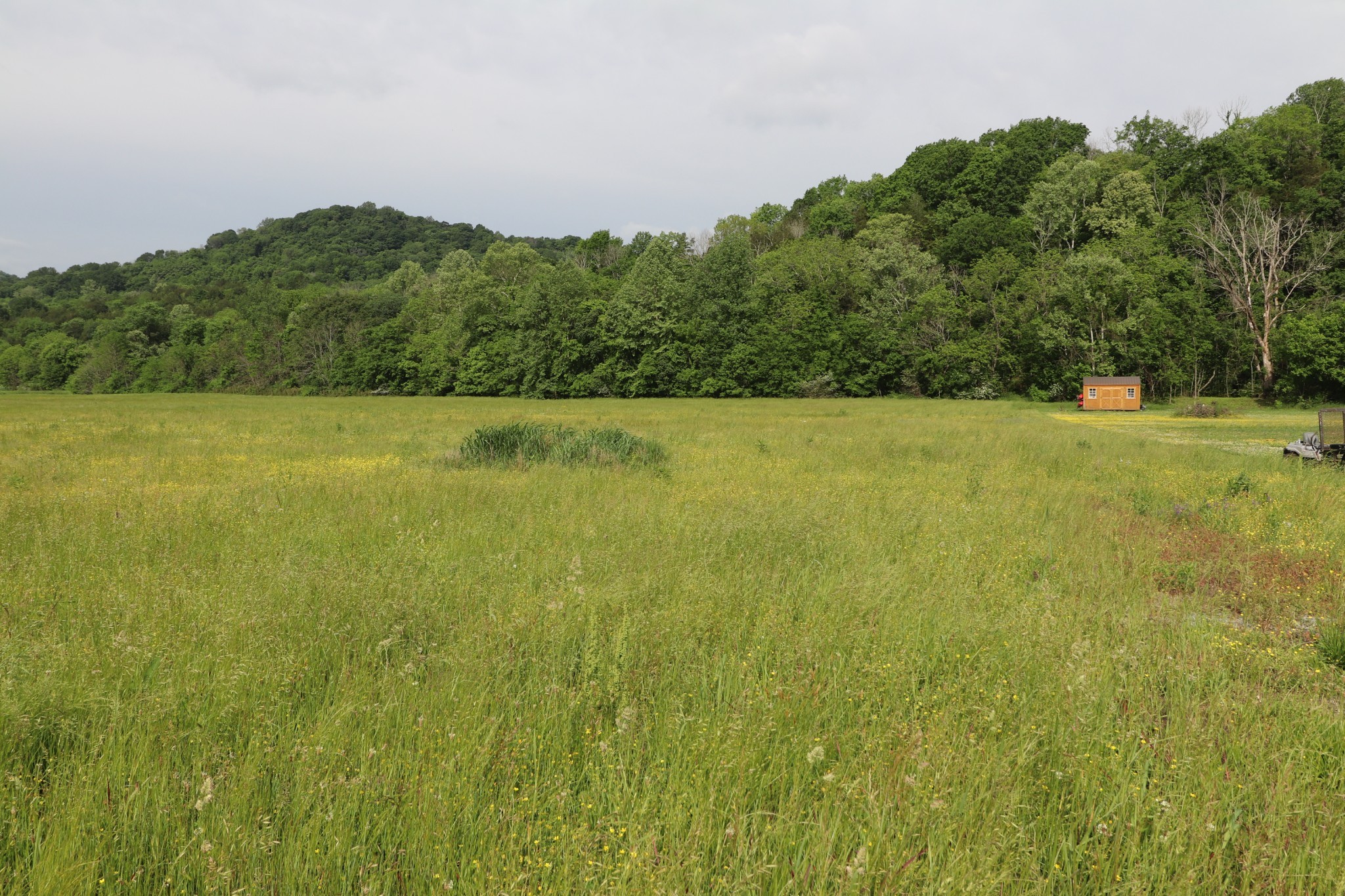 8 Hartsville Road Lafayette, TN 37083 - Photo 15 of 15 Gallery Image 15