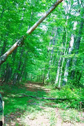 a view of lush green field